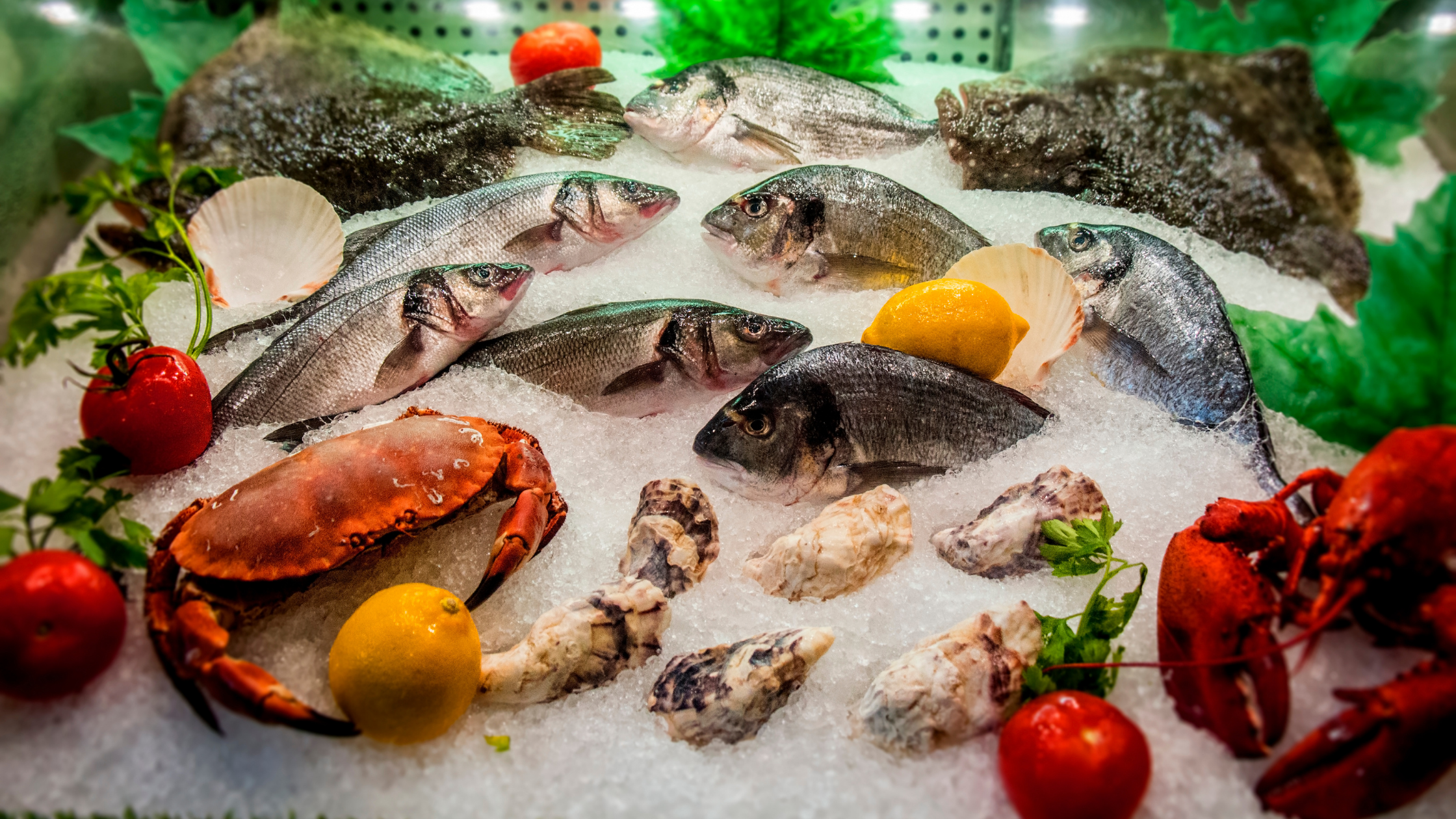 Fishta Feuds: Fresh vs. Frozen?