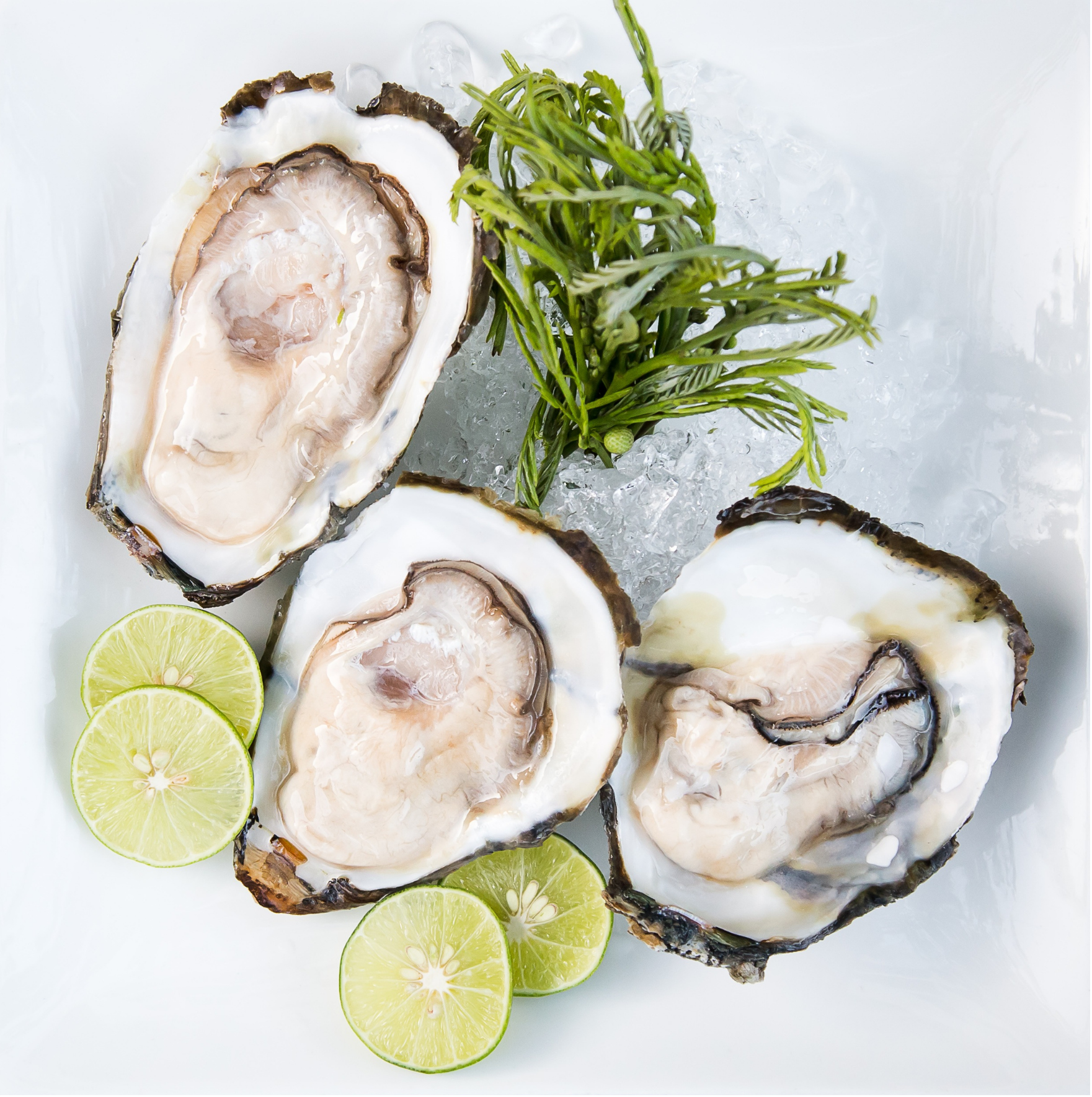 Hokkaido Oysters Whole