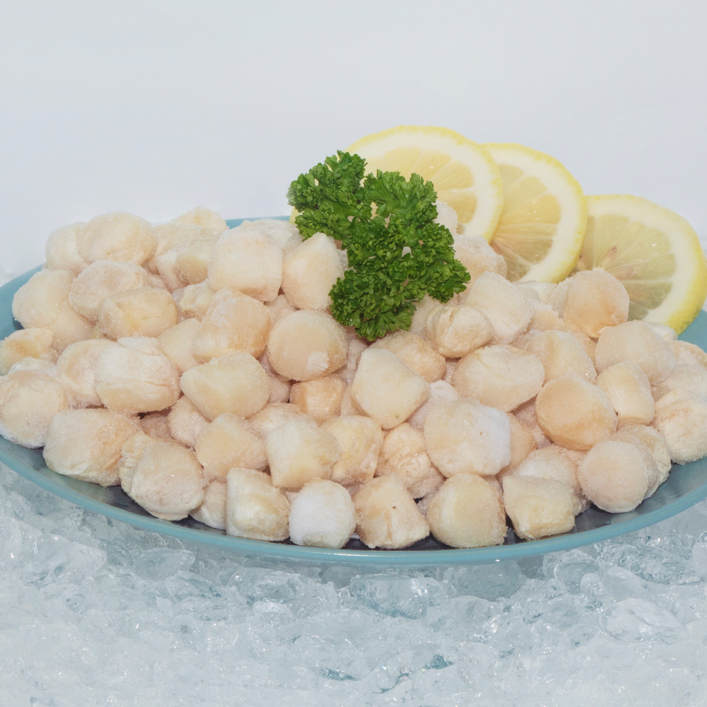 Scallop Meat