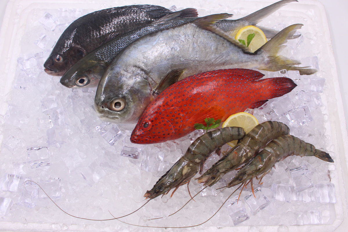 Types Of Fish To Eat Philippines