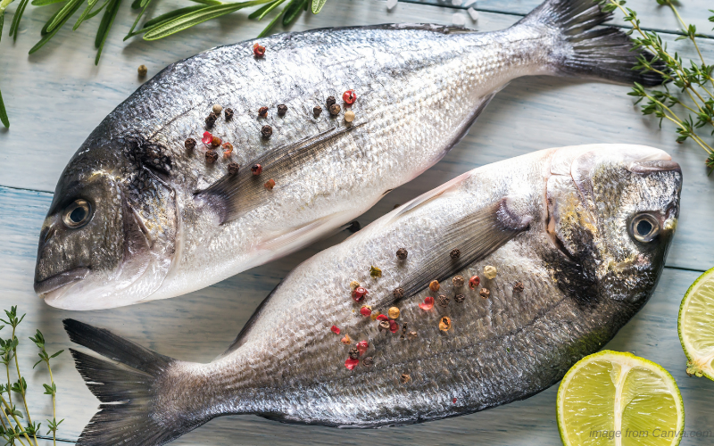 5 Health-Related Facts You Should Know From Eating Fish