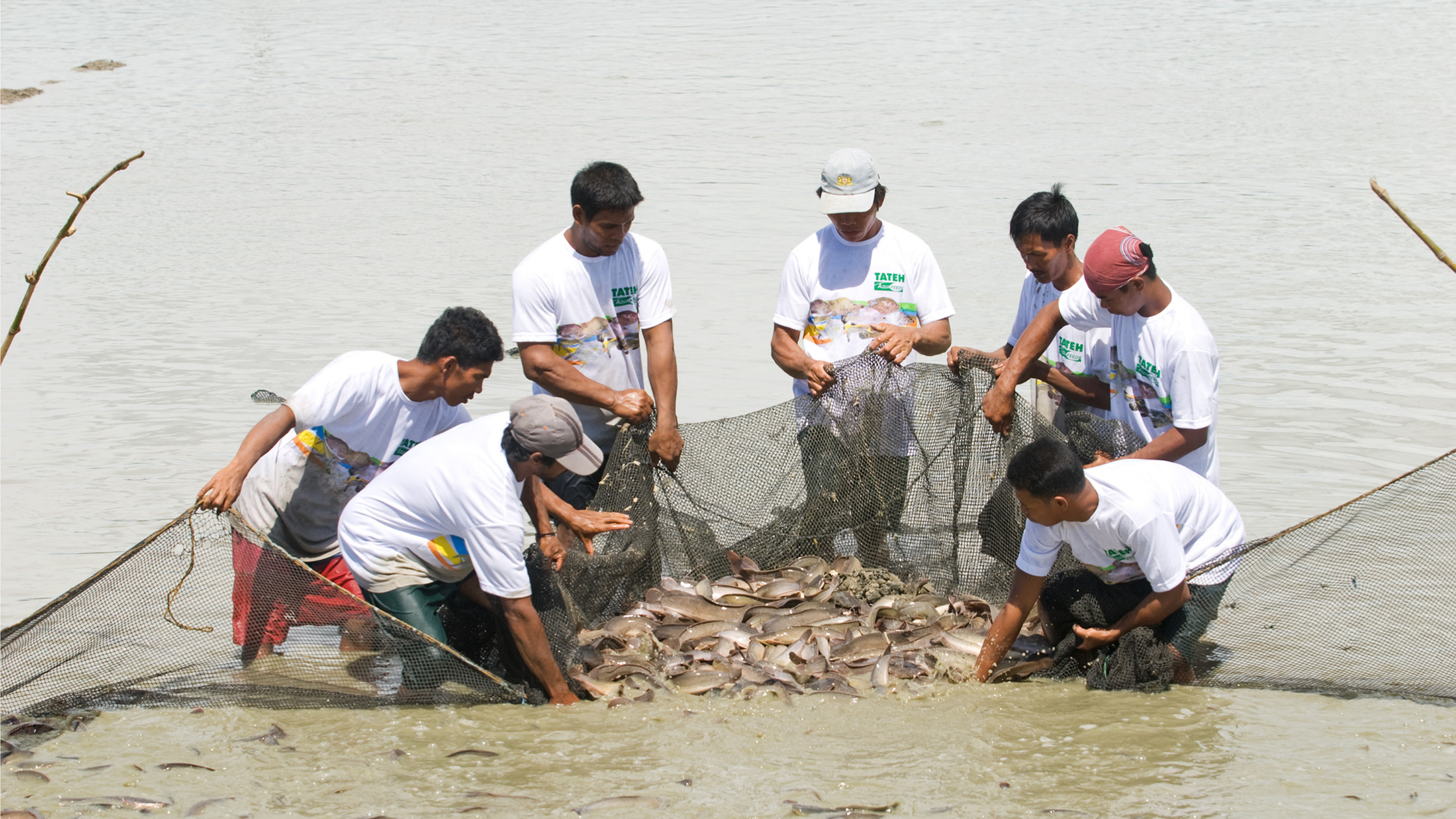 The Hype About Sustainable Fishing