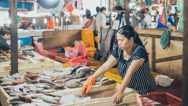 5 of the World's Best Fish Markets You Should Know About