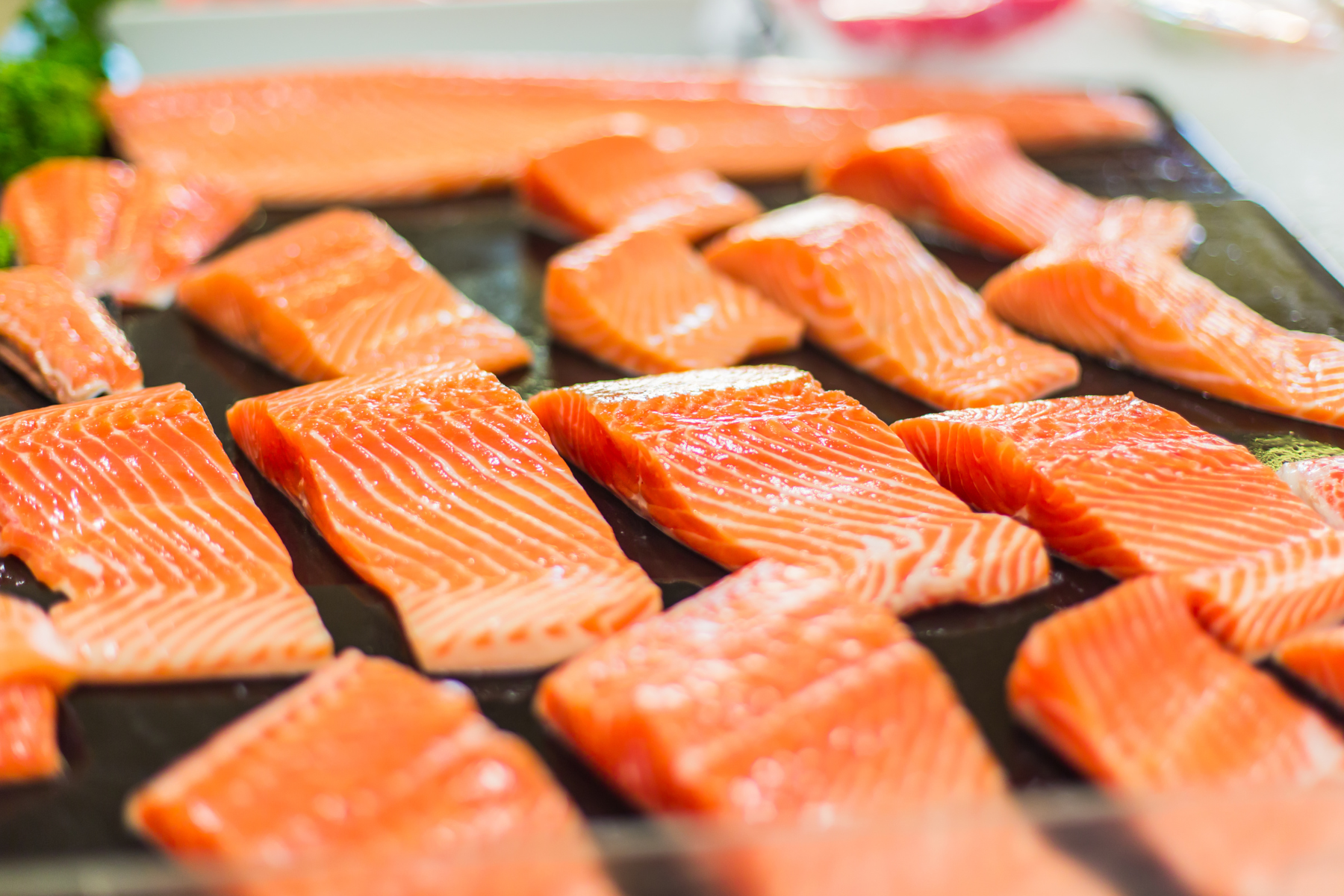 Salmon