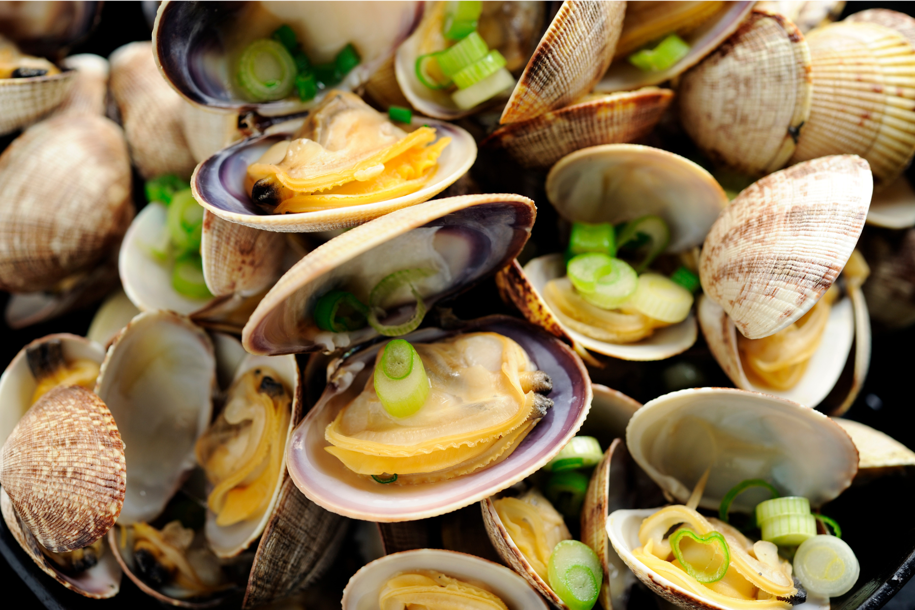 Shellfish Macos Shellfish