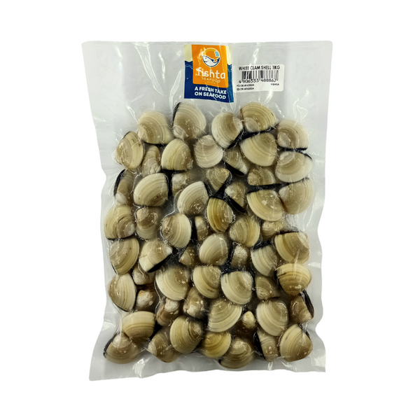 White Clam Shell Seashell Feeding Dish – Holy Poly Isopods