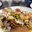 Chilean White Clam with Shell