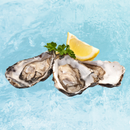 Hokkaido Oysters Whole