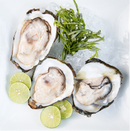 Hokkaido Oysters Whole