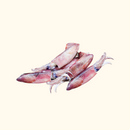 Fresh baby squid from Fishta Seafood for easy cooking available for delivery in Metro Manila