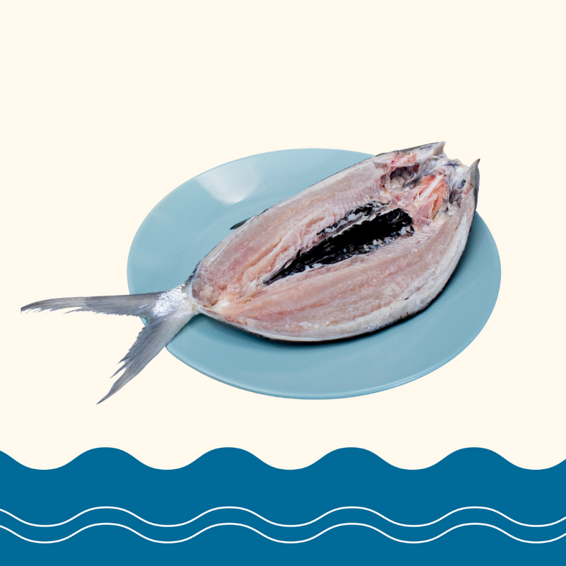 Bangus Deboned (Plain)