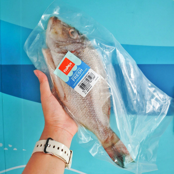 Betilya (Emperor Fish)