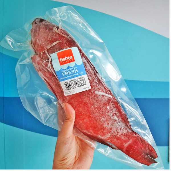 Lapu Lapu (Red Grouper)