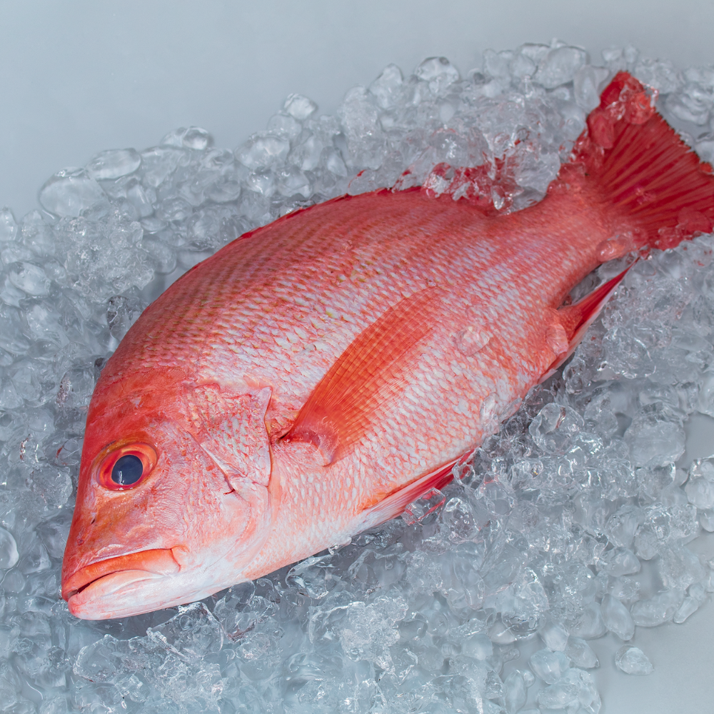 Red Snapper (Maya Maya) Cleaned