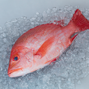 Red Snapper (Maya Maya) Cleaned