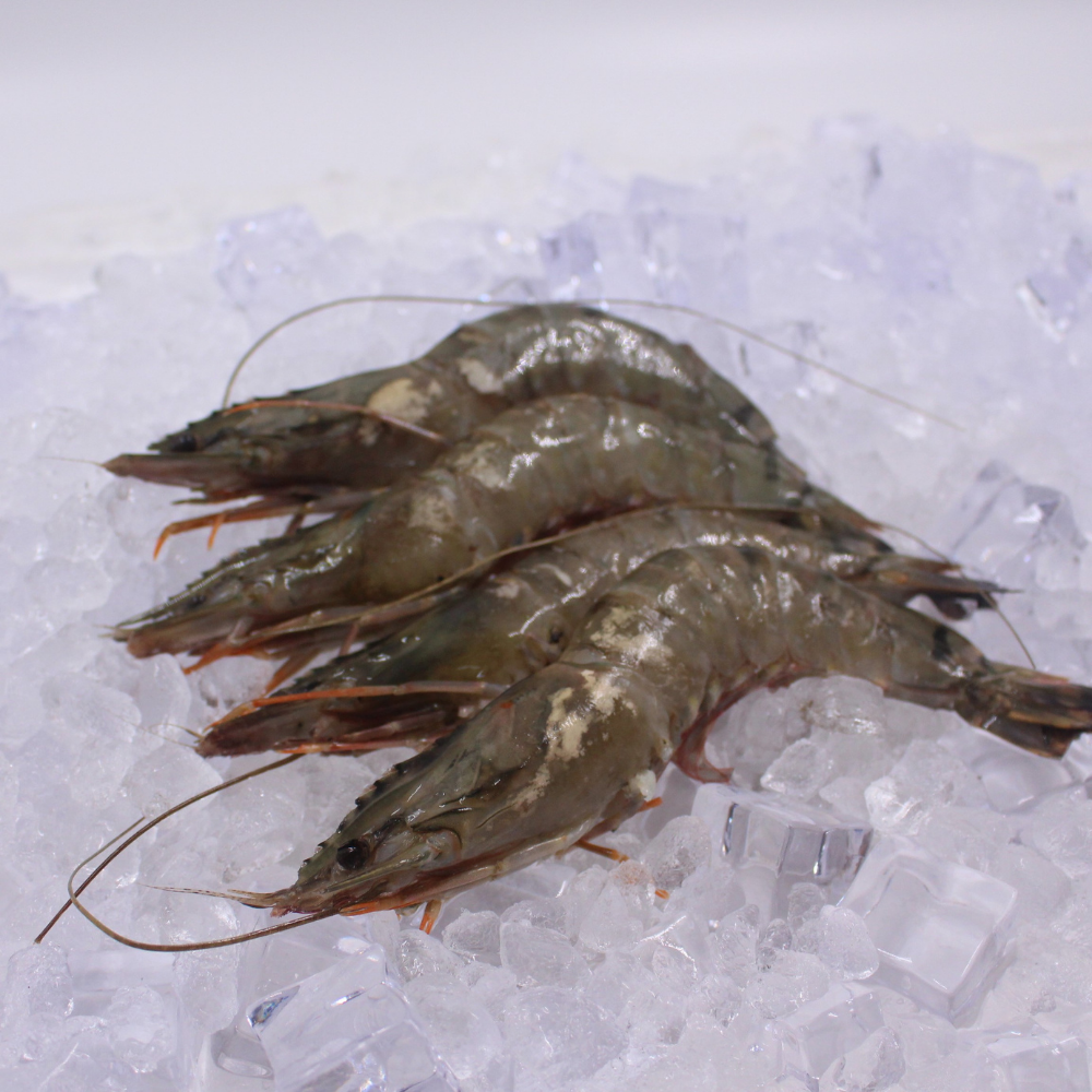 Tiger Prawn (Sugpo) Whole