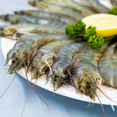 White Shrimp (Vannamei) Head-on