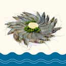 White Shrimp (Vannamei) Head-on